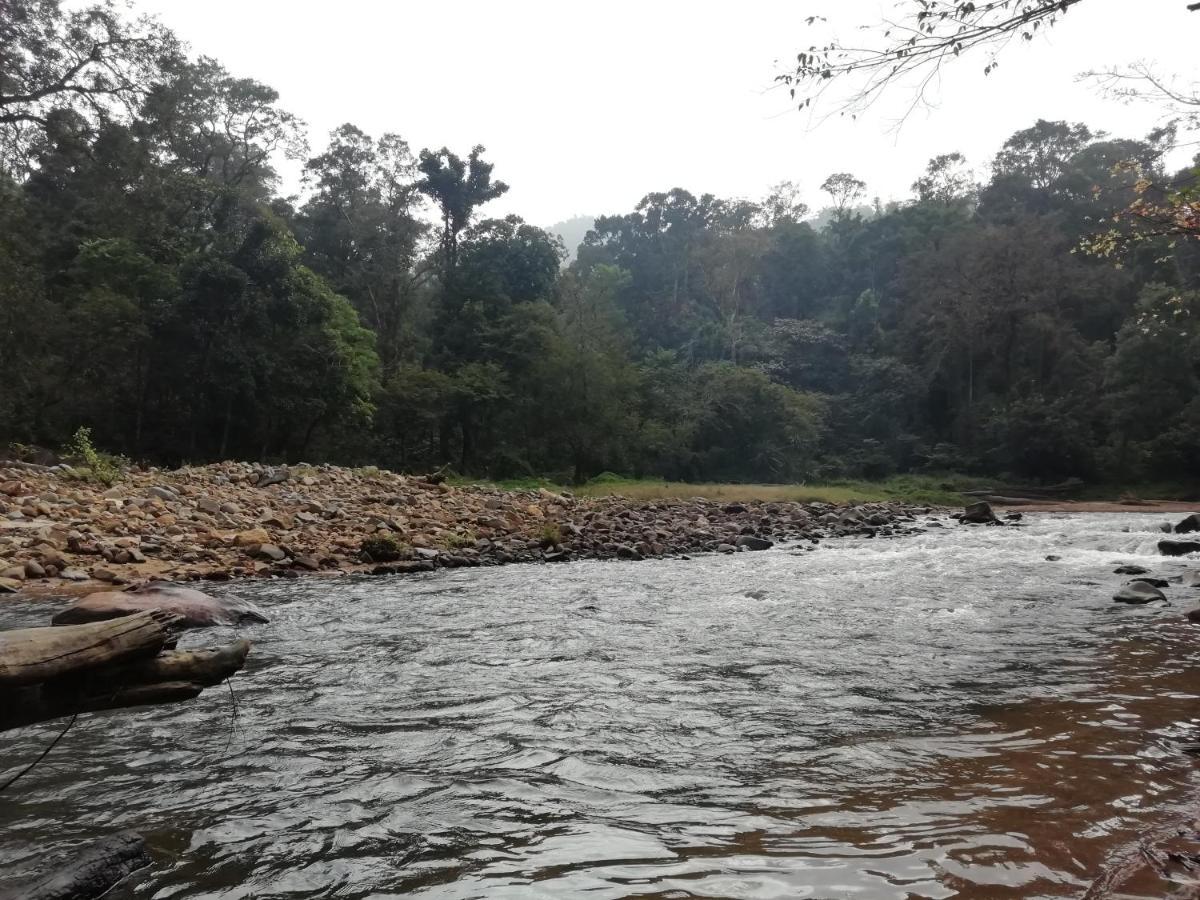 Coorg River Rock Camping Madikeri Exterior foto